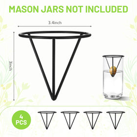 Qiuruoo propagation vase kit with metal shelves supports safe seed growth above water.