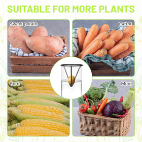 Qiuruoo vegetable propagation kit supports carrots and sweet potatoes with four-shelf design.