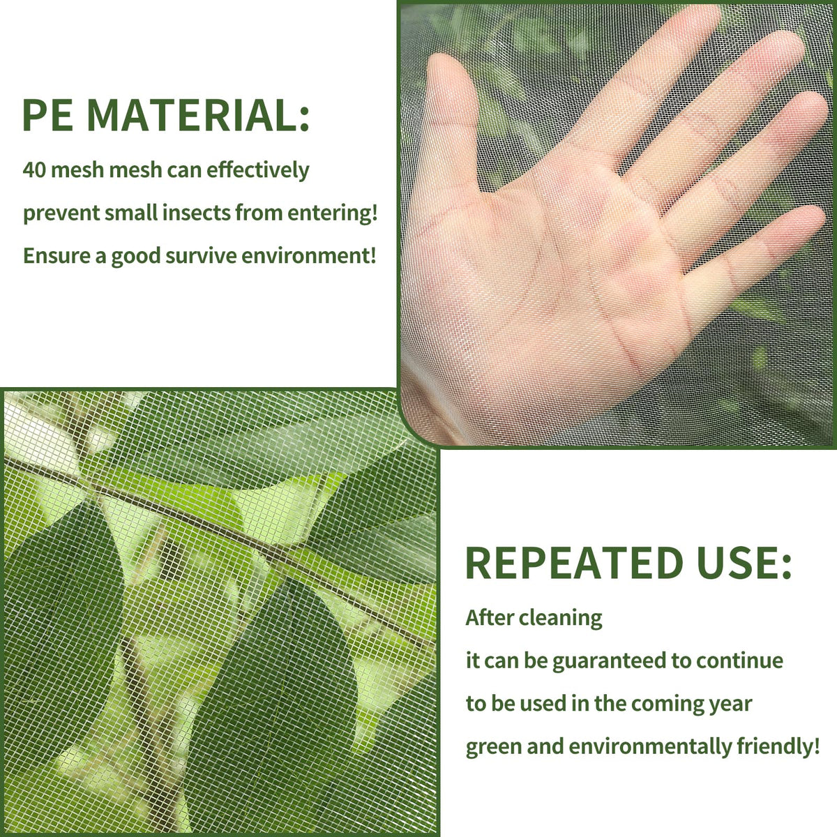 QiWeiFaCai blueberry protection netting covers a thriving berry plant.