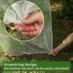 QiWeiFaCai vegetable garden netting lets rain through while protecting.