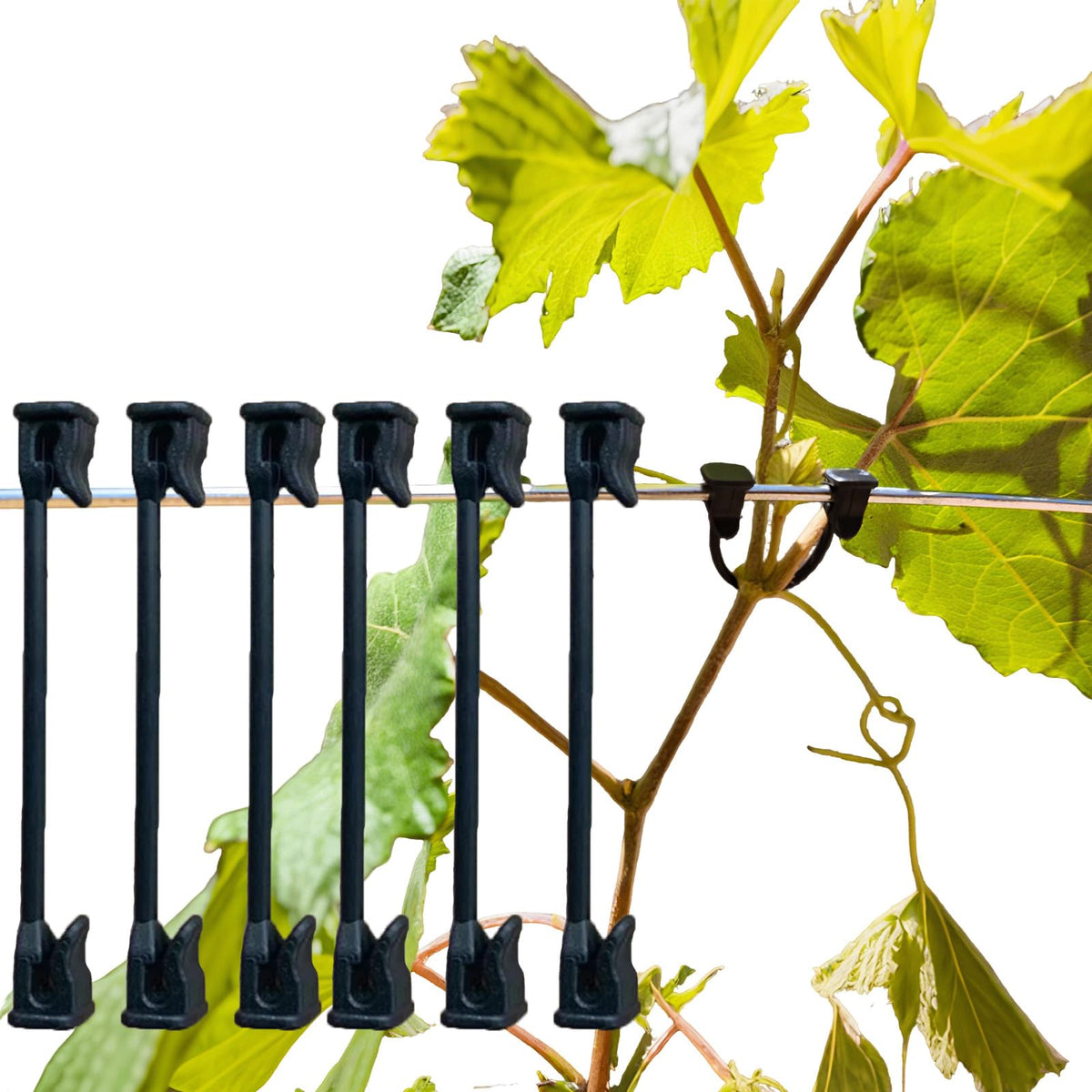 QIXIN plastic vines clip tomato on trellis for upright stem support.
