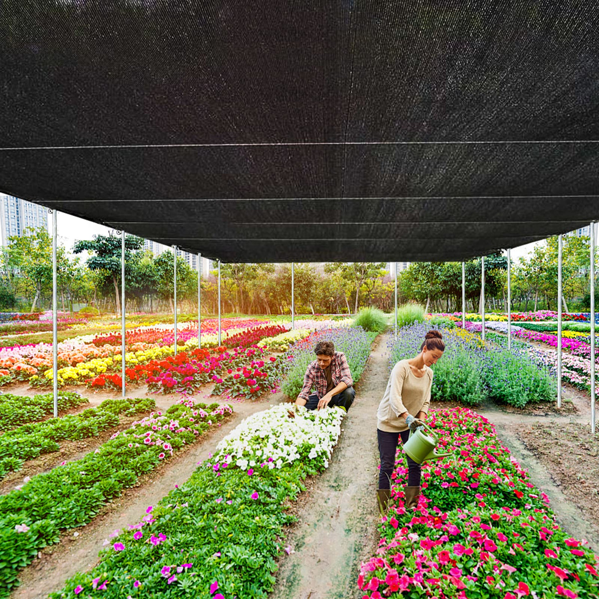 QLOFEI shade cloth in greenhouse creating diffused light and ventilation