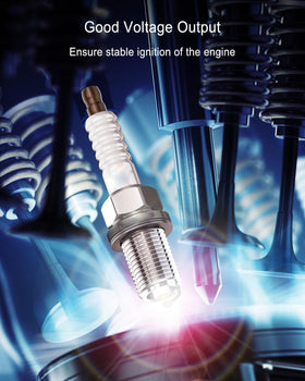 QLZOZB ignition coil close-up shows durable, heat-resistant housing