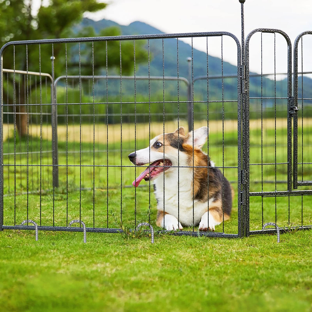 QNLONG dog fence garden stakes keep boundaries secure in windy conditions.