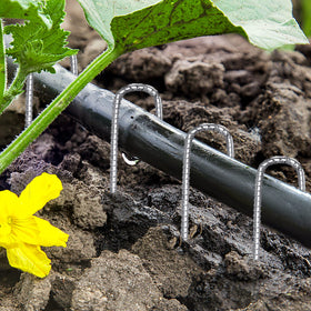 QNLONG durable stakes simplify setup and removal for quick outdoor projects.