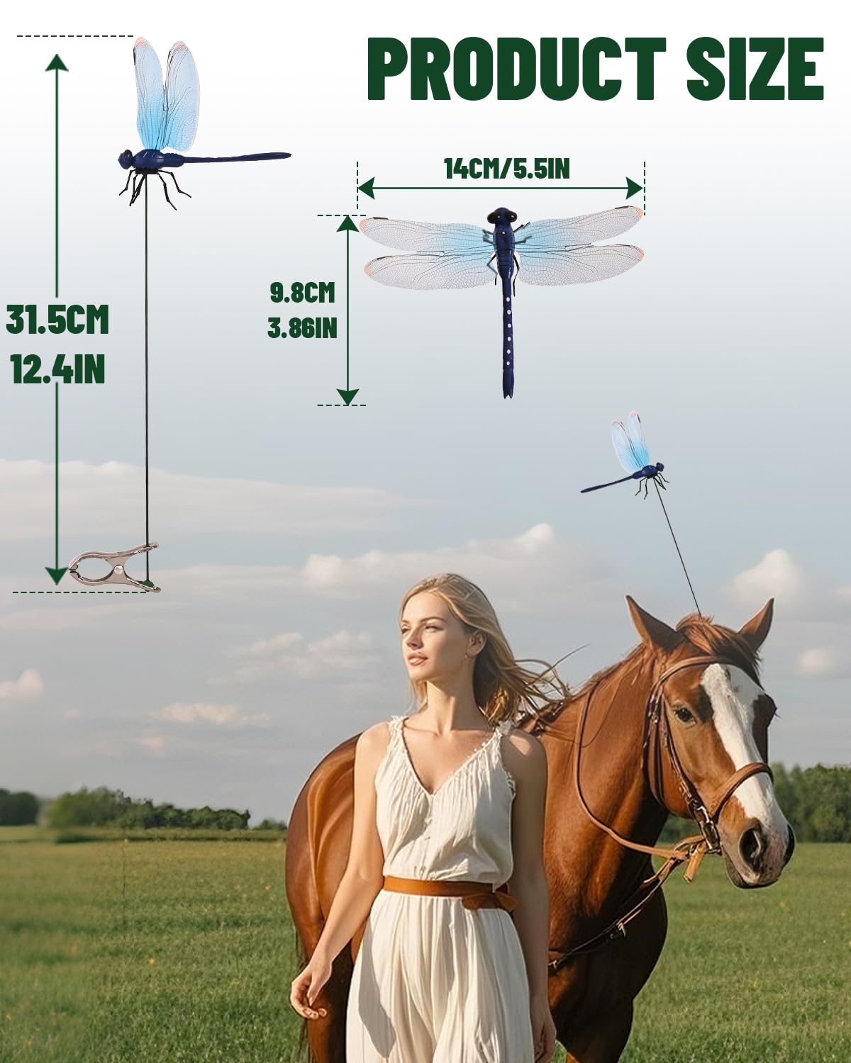 QOJH dragonfly color pack offers vibrant garden accents.