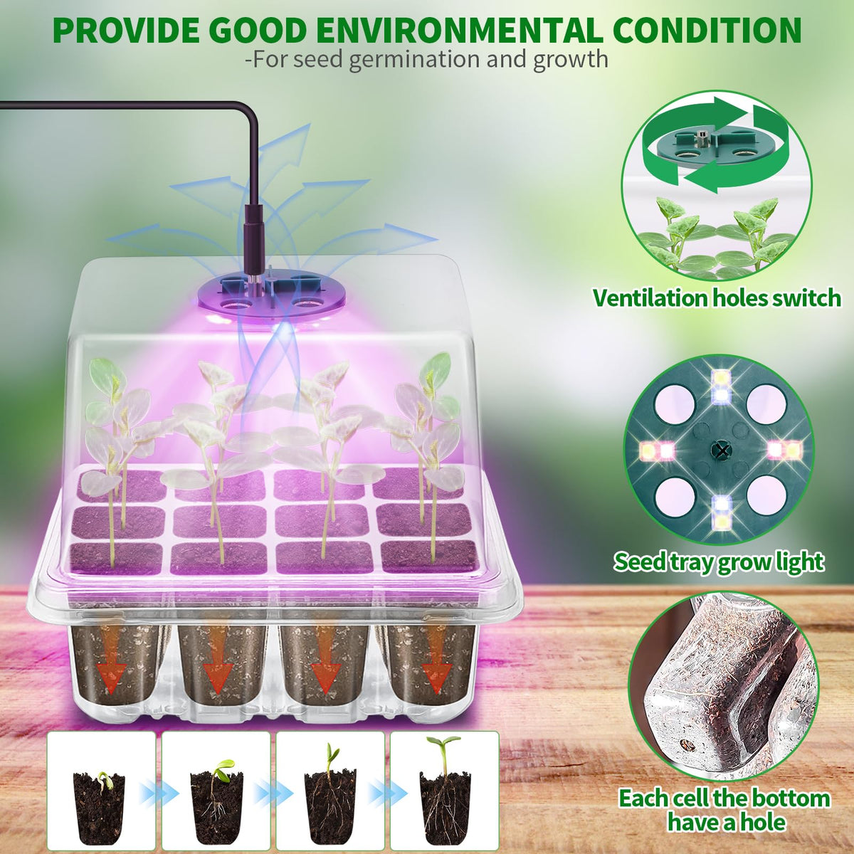 Qoolife 2-pack grow lights kit boosts seedling vigor for faster establishment
