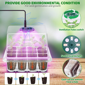Qoolife 2-pack grow lights kit boosts seedling vigor for faster establishment