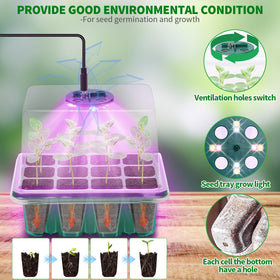 Qoolife humidity-dome system maintains balanced moisture for seedlings.
