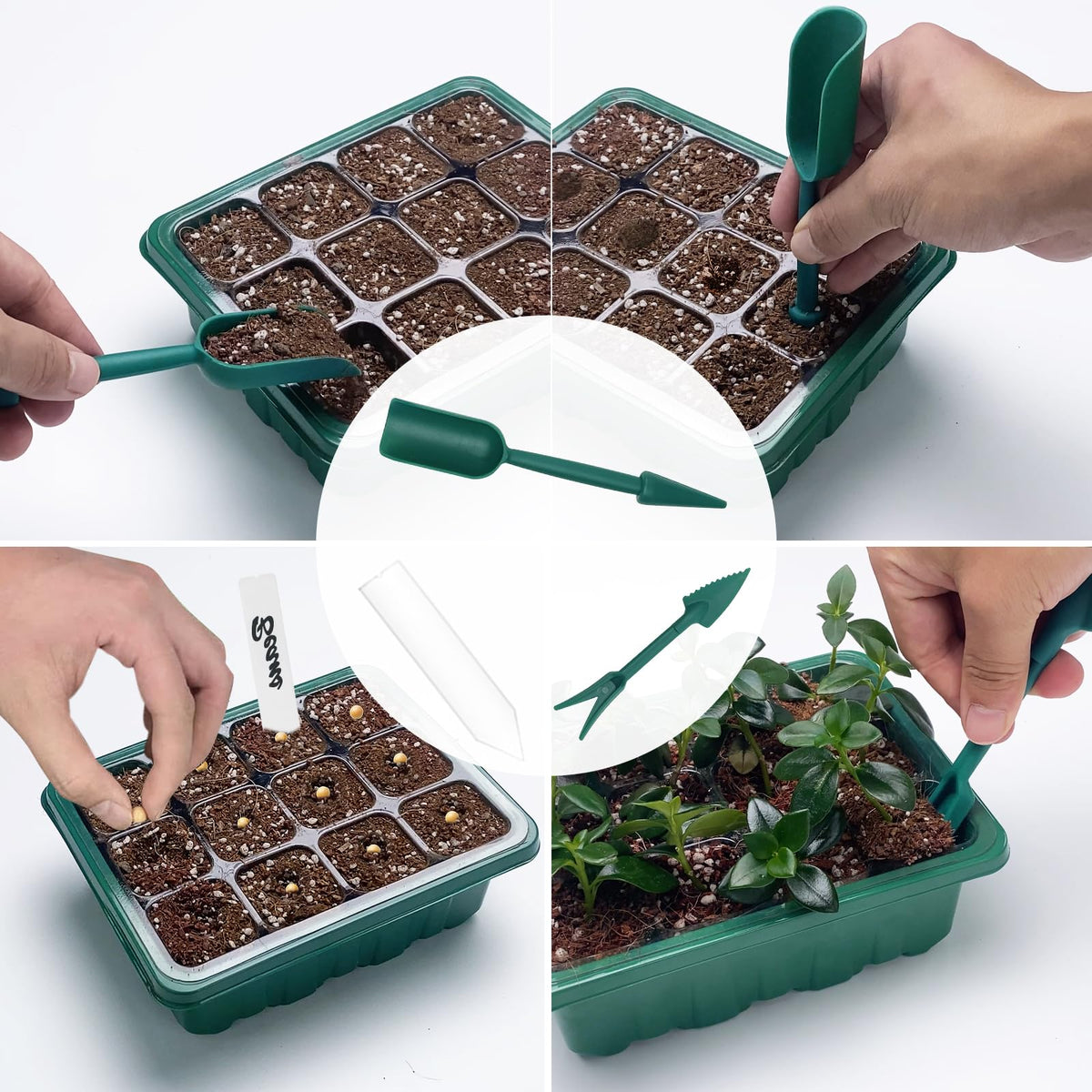 Qoolife rapid-growth seed starter may boost seedling vigor.