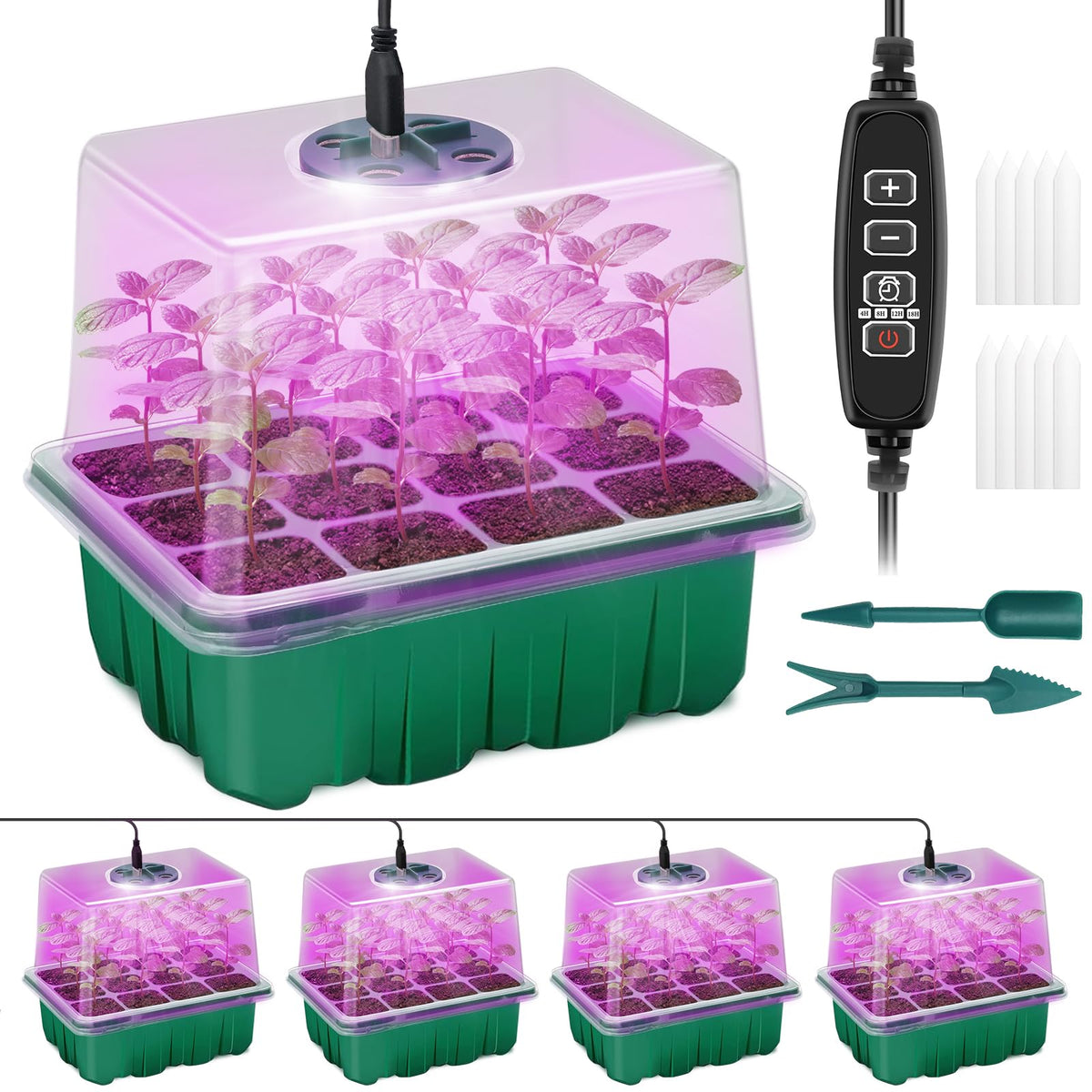 Qoolife seed-starter-tray with 8 LED lights supports even germination and healthy seedlings.