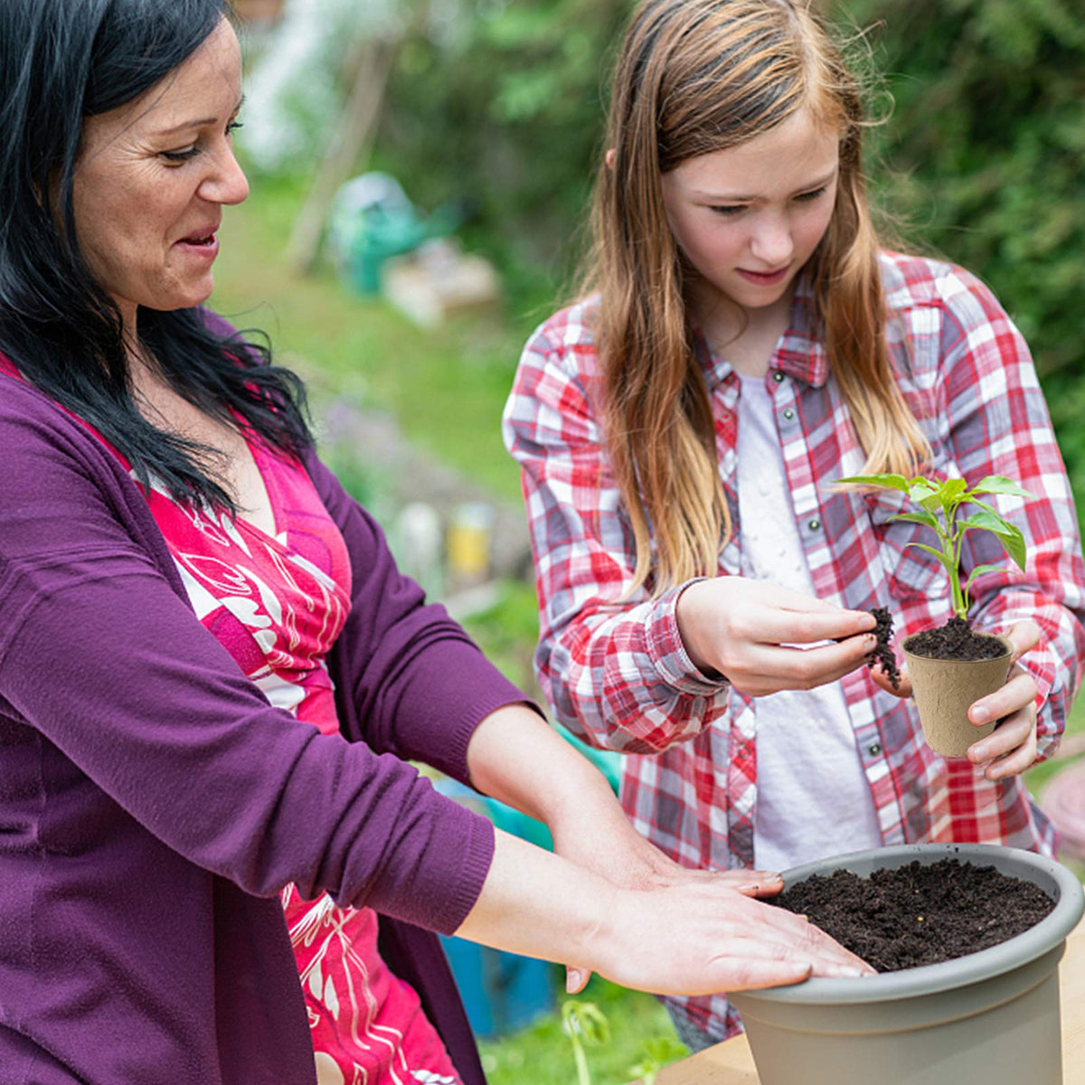 QPEY easy-transplant peat pots enhance air porosity for thriving seedlings.