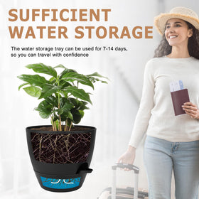 QRRICA removable watering feeder enables hydration while you are away
