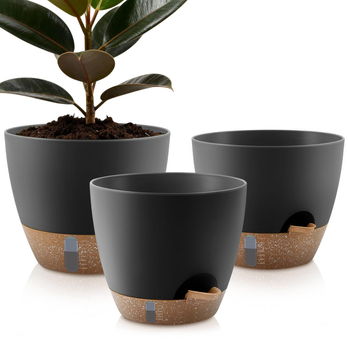 QRRICA self-watering feeder with water level window for easy moisture monitoring