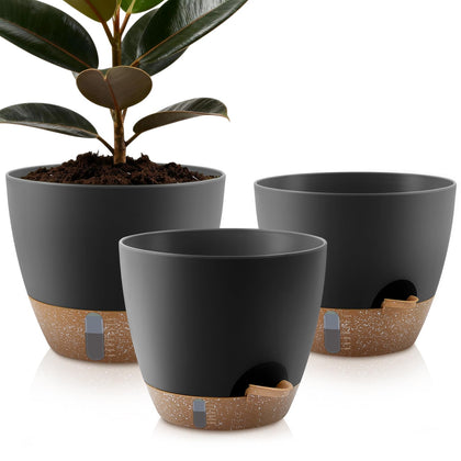 QRRICA self-watering feeder with water level window for easy moisture monitoring