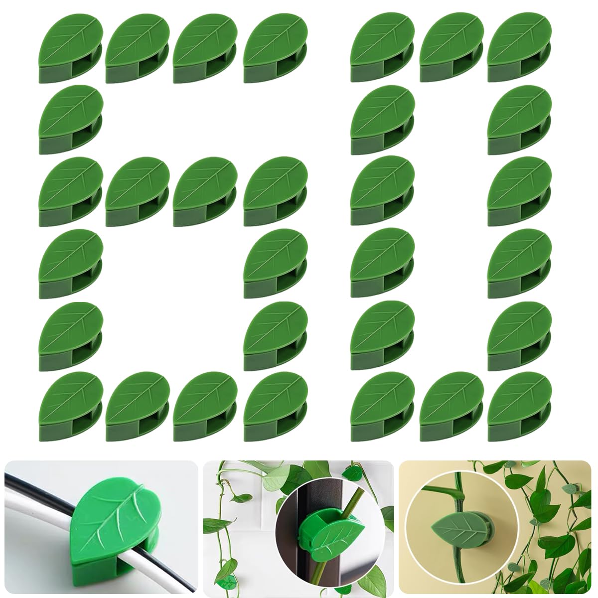 QRWT plant climbing wall fixture clip keeps vines tidy and space-saving