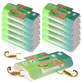 Qualirey 10-pack scorpion glue traps ready to use for indoor pest capture.
