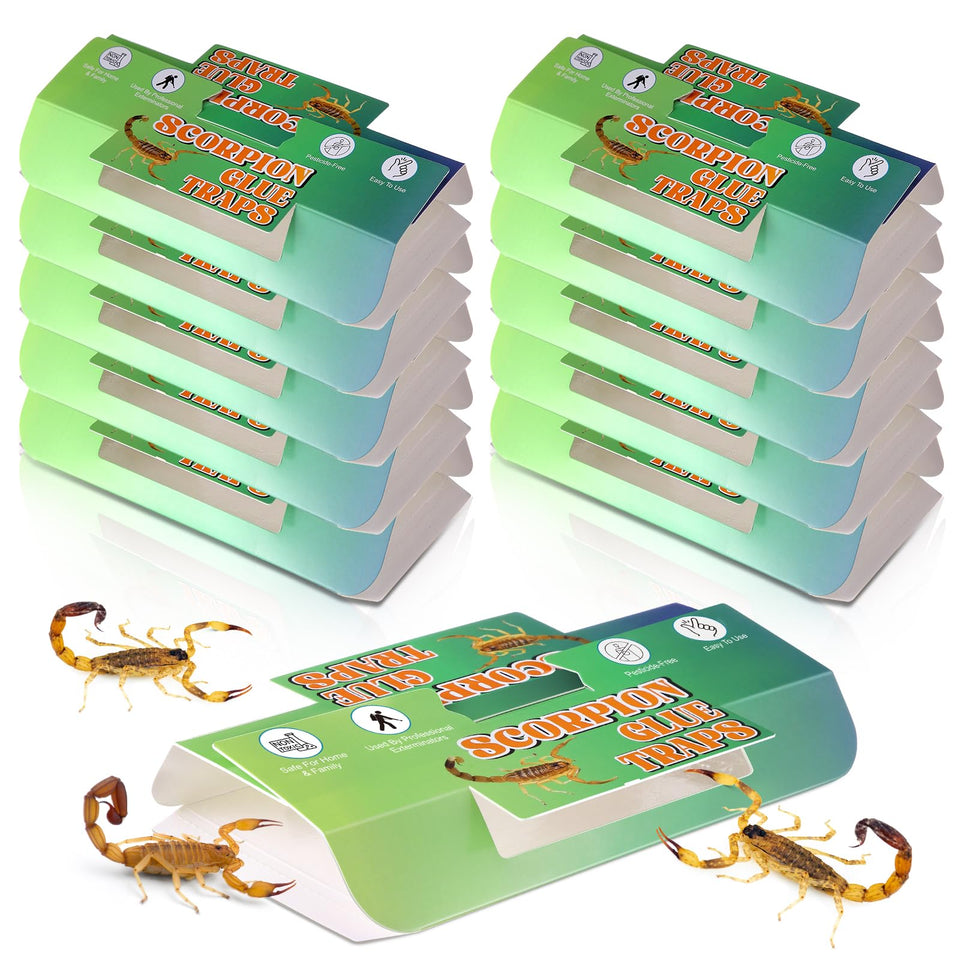 Qualirey 10-pack scorpion glue traps ready to use for indoor pest capture.