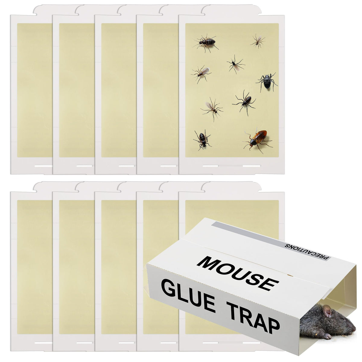 Qualirey 10 pack sticky traps in packaging ready for setup