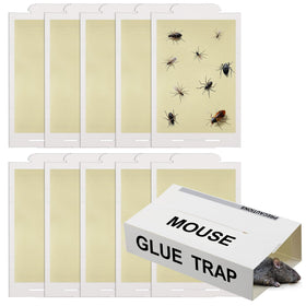 Qualirey 10 pack sticky traps in packaging ready for setup