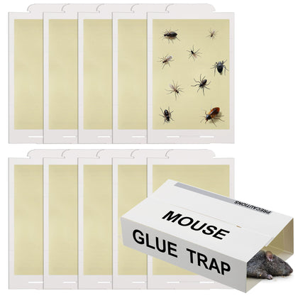 Qualirey 10 pack sticky traps in packaging ready for setup