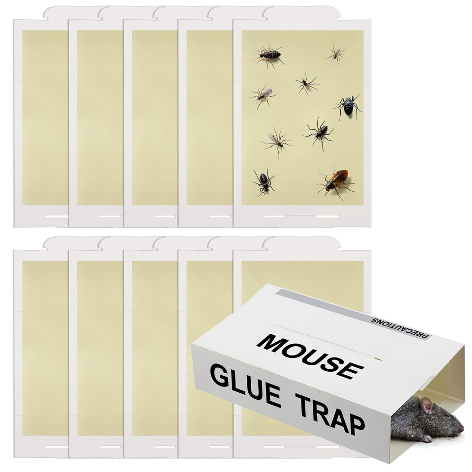 Qualirey 10 pack sticky traps in packaging ready for setup