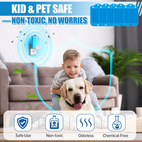 Qualirey 12-pack fly trap refills illustrating value and ongoing indoor protection