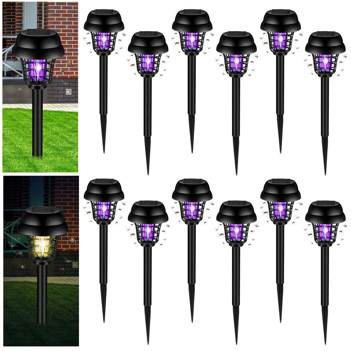 Qualirey 12-pack zapper packaging ready for outdoor pest control
