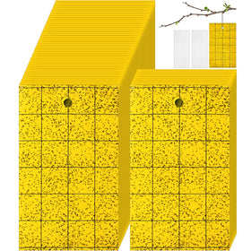 Qualirey 150 sticky trap gnats with yellow lure for flying insects