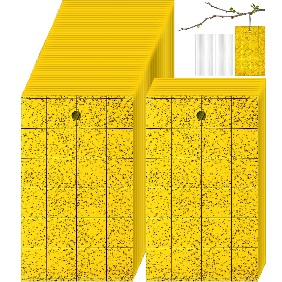 Qualirey 150 sticky trap gnats with yellow lure for flying insects