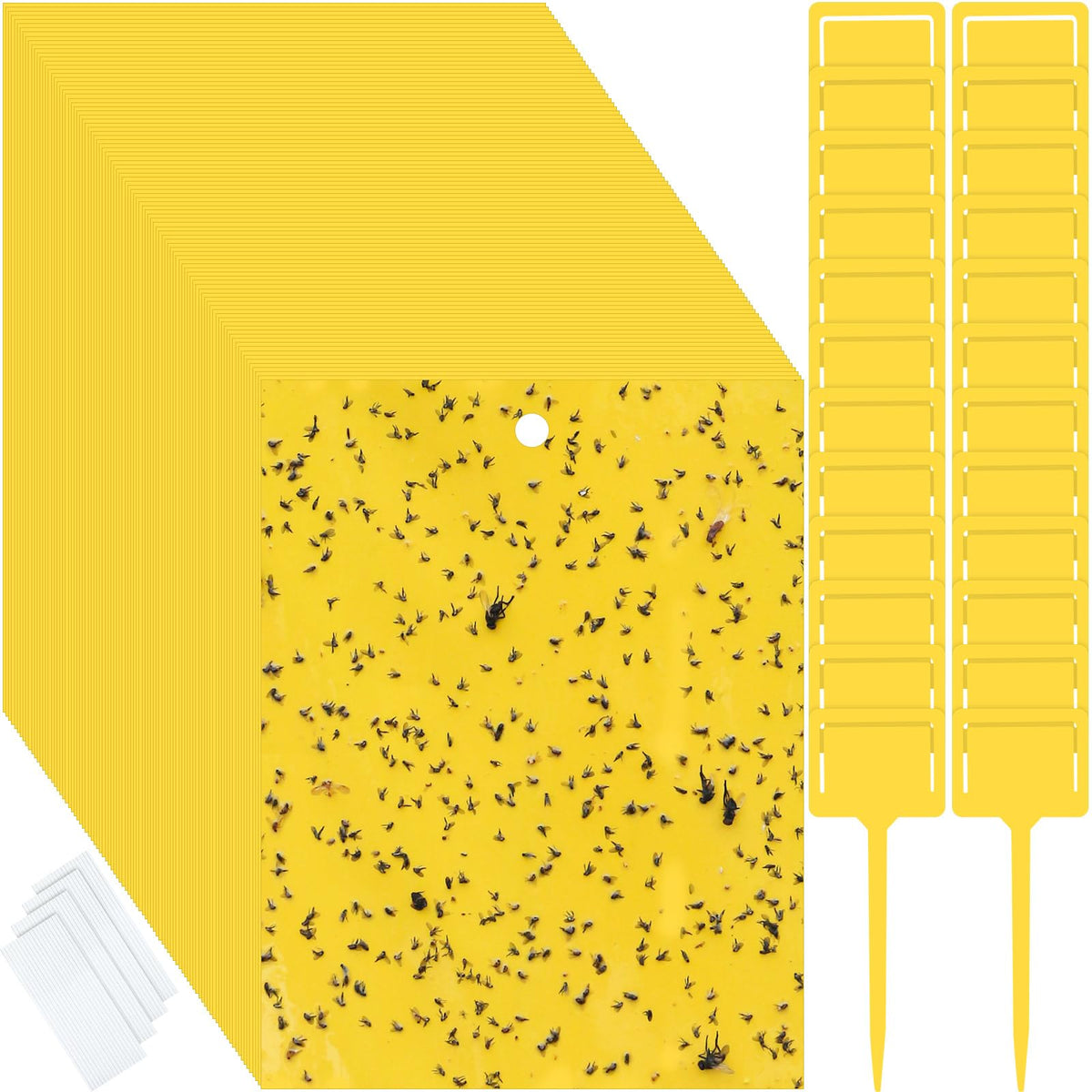 Qualirey 250-pcs yellow sticky trap, double-sided front view catching flying gnats