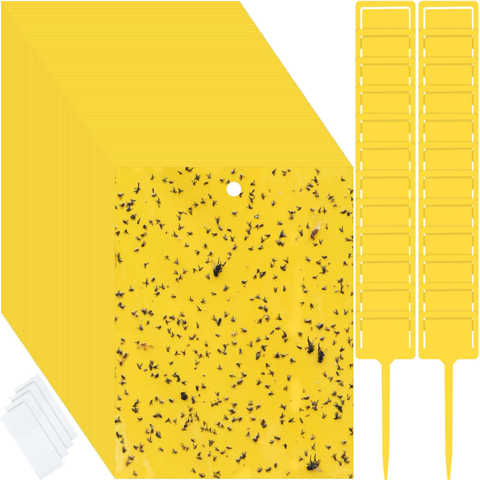 Qualirey 250-pcs yellow sticky trap, double-sided front view catching flying gnats