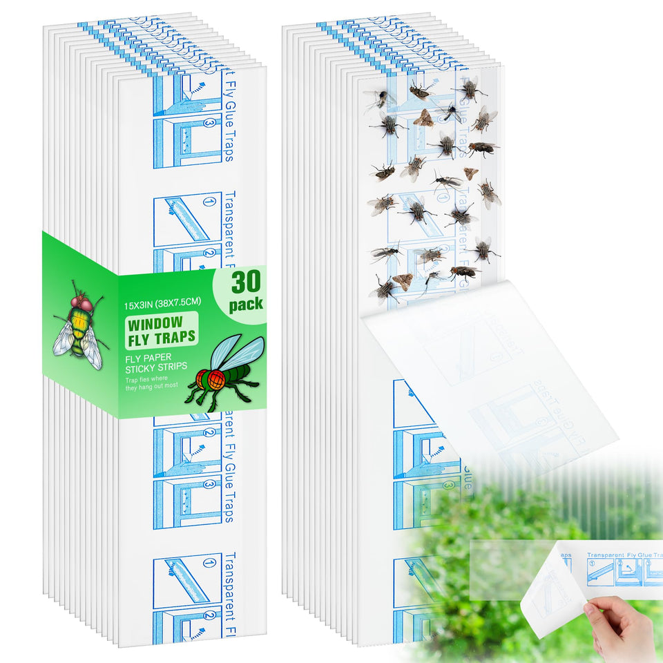 Qualirey 30-pack XL window fly traps with extended coverage for indoor windows