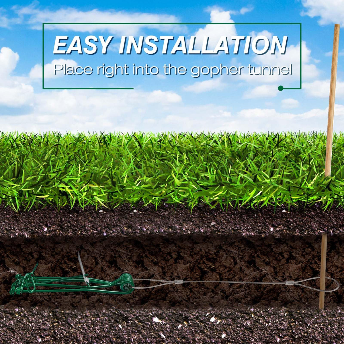Qualirey 4-pack gopher traps in green, ready for outdoor use