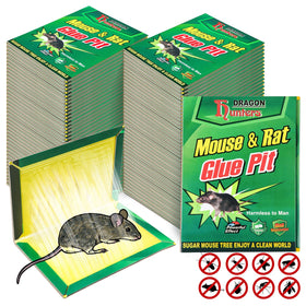 Qualirey 48-pack mouse glue traps large size for indoors and outdoors.
