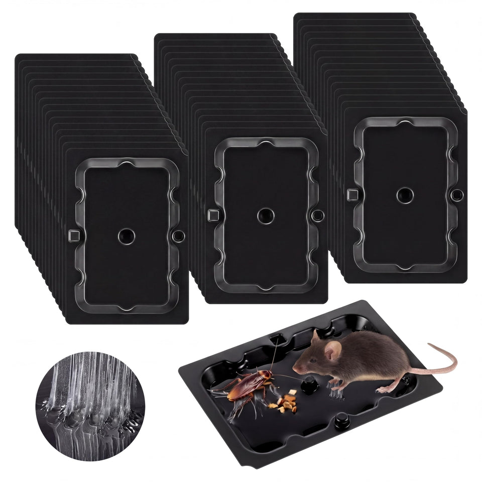 Qualirey sticky mouse traps package ready for indoor use along walls