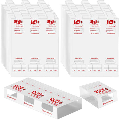 Qualirey 60-pack glue traps on packaging for bulk pest control planning