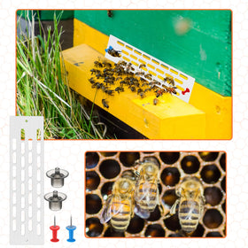 Qualirey beehive entrance gate helps easy hive access control