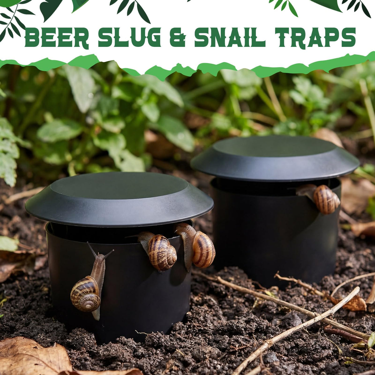 Qualirey beer trap container without beer, quick setup and easy cleaning.