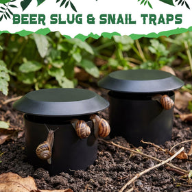 Qualirey beer trap container without beer, quick setup and easy cleaning.