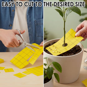 Bright yellow color helps monitor pest activity at a glance