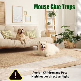 Qualirey clear trap material blends with home decor
