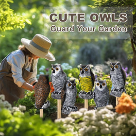 Qualirey color-variety owl decoys set offers versatile placement options.