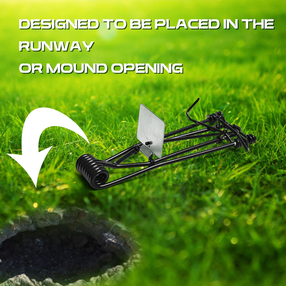 Qualirey trap concealed under soil for discreet pest management.