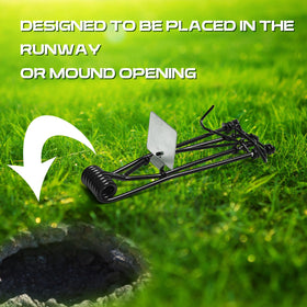 Qualirey trap concealed under soil for discreet pest management.