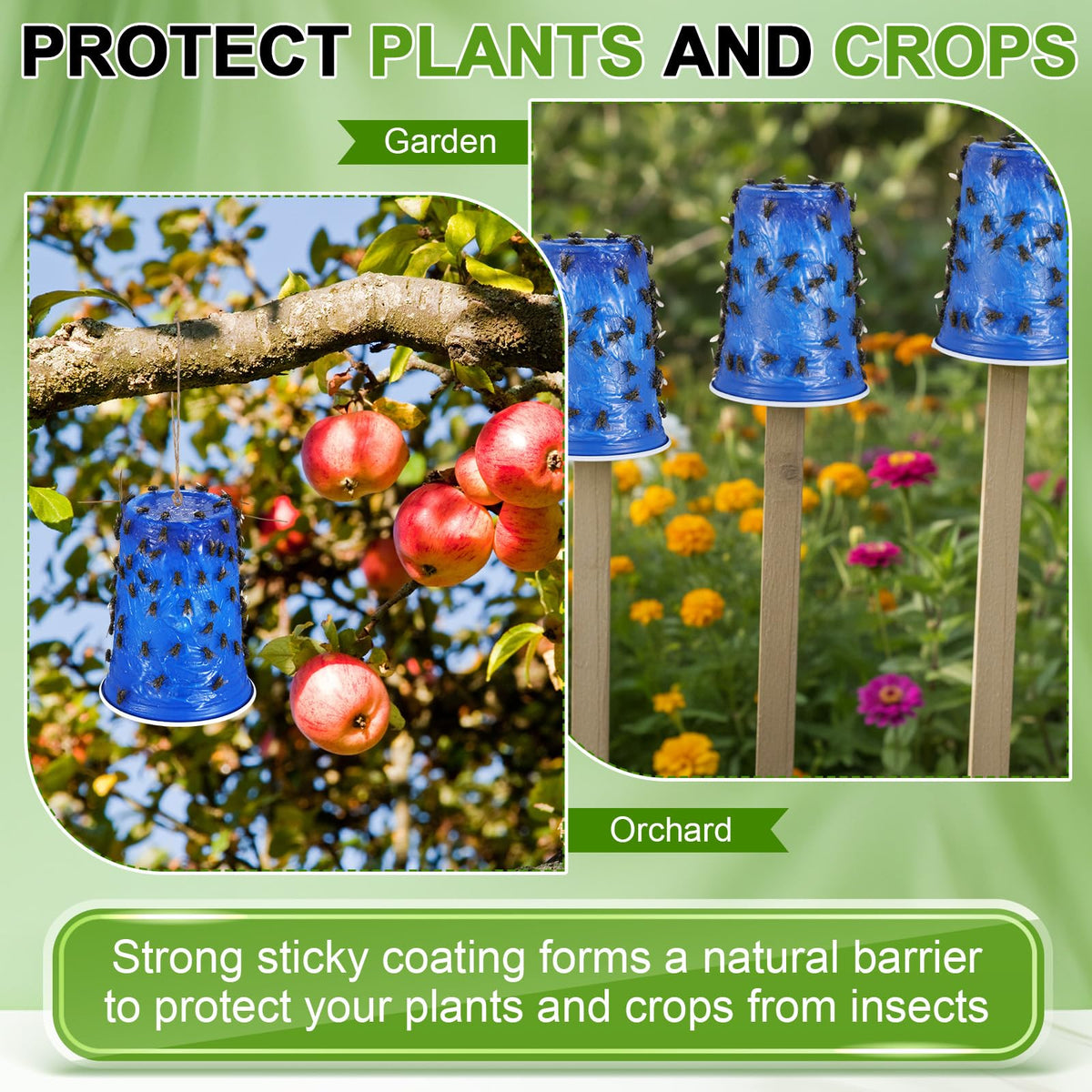 Qualirey solution targets deerflies and lanternflies with cups.