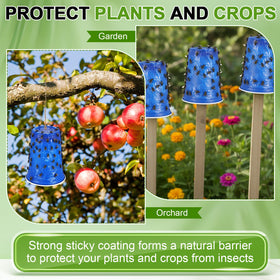 Qualirey solution targets deerflies and lanternflies with cups.