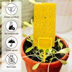 Qualirey double-sided sticky traps attract flying pests effectively