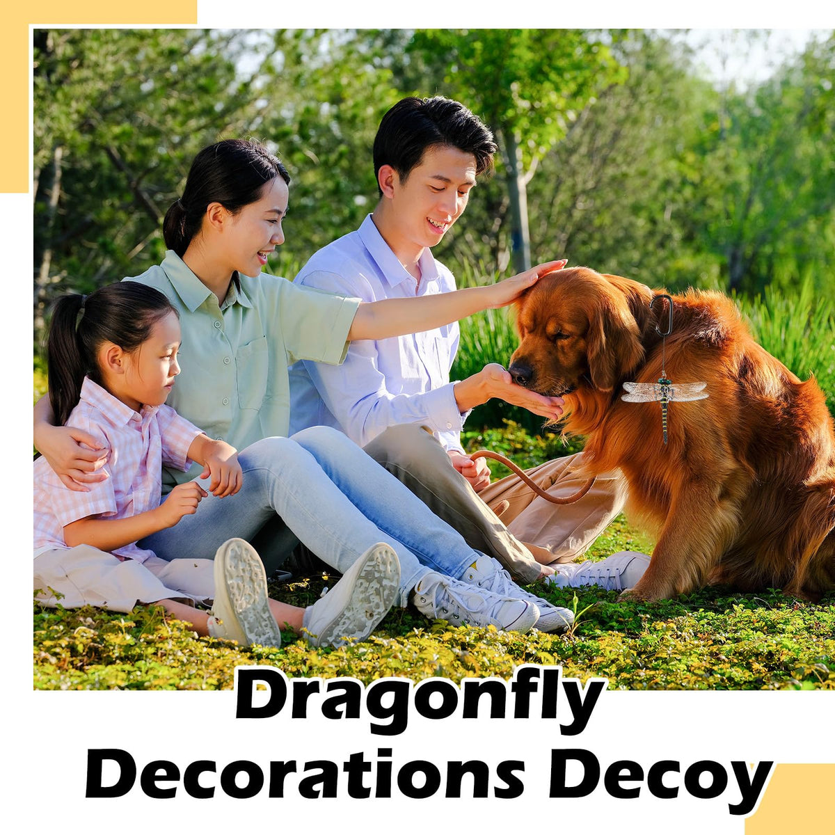 Qualirey Dragonfly wing details mimic real insects for authentic display.
