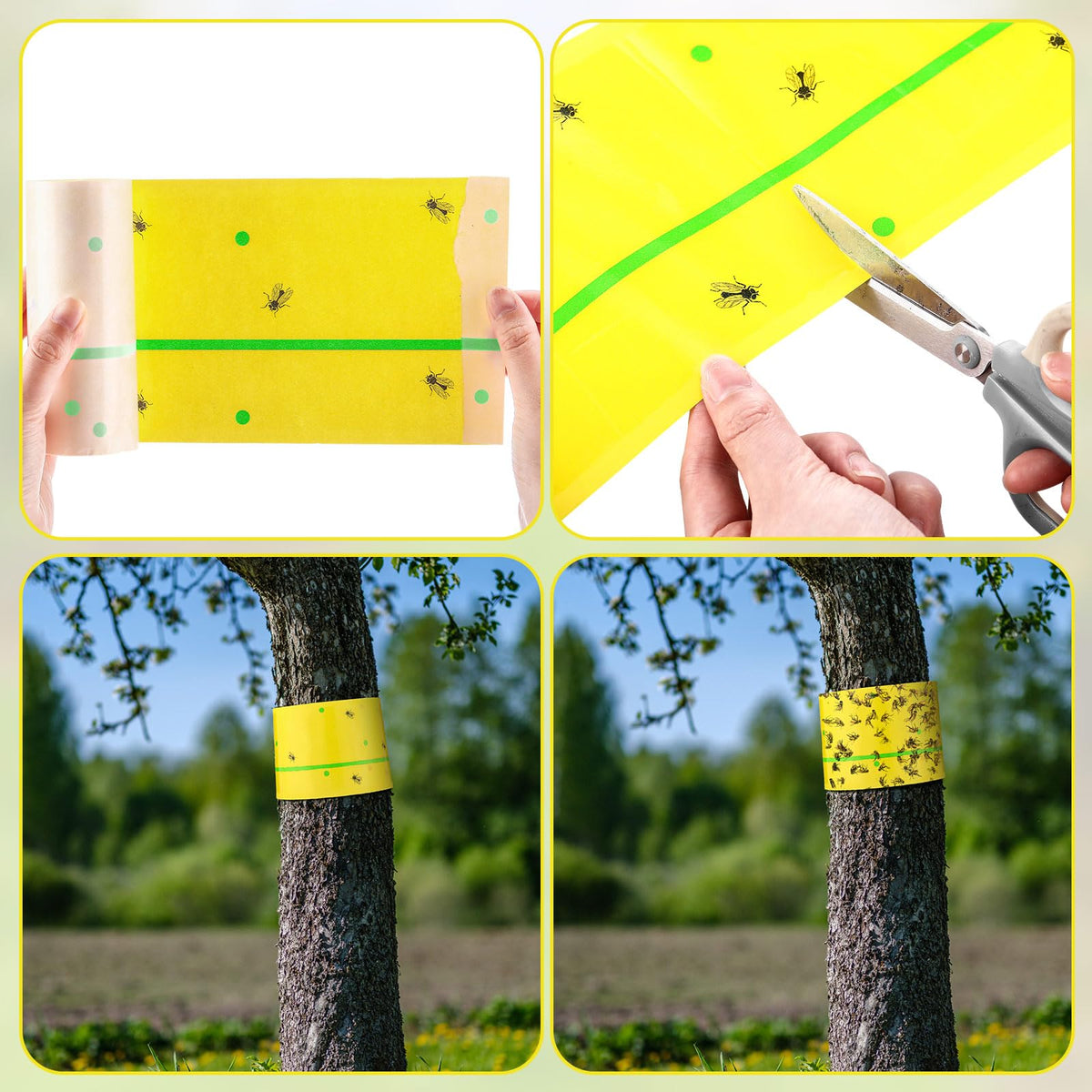 Qualirey durable waterproof paper trap resists weather for long lasting use.